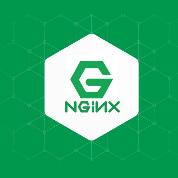 Configuration Nginx avec VueJS (erreur 404)